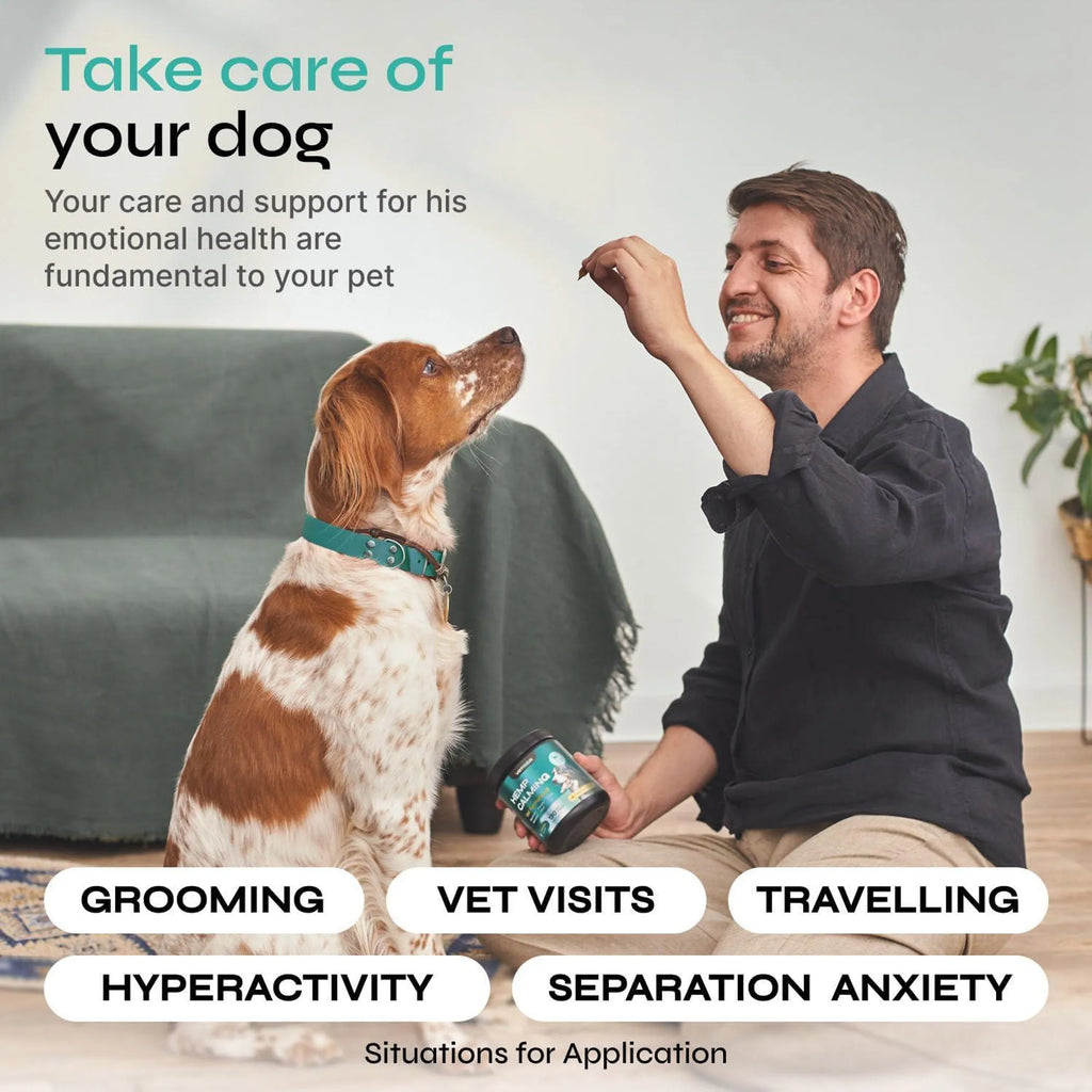 Anxiety Relief Calming Chews For Dogs  - Beef Flavor