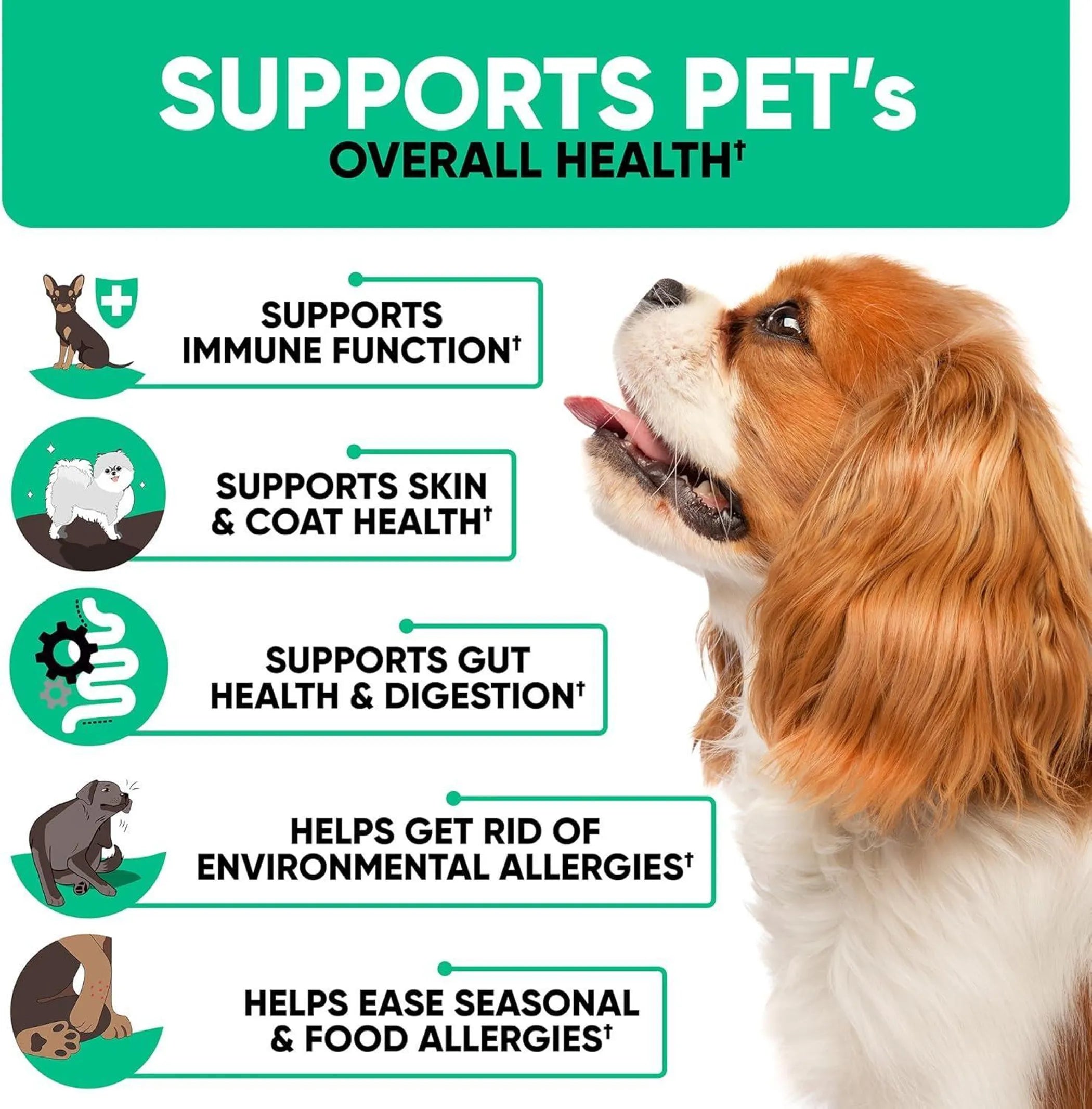Allergy & Immune Support for Dogs - Duck Flavor