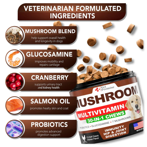 2-Pack 30-in-1 Mushroom Multivitamin Chews for Dogs