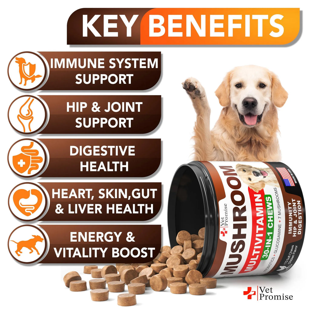 2-Pack 30-in-1 Mushroom Multivitamin Chews for Dogs