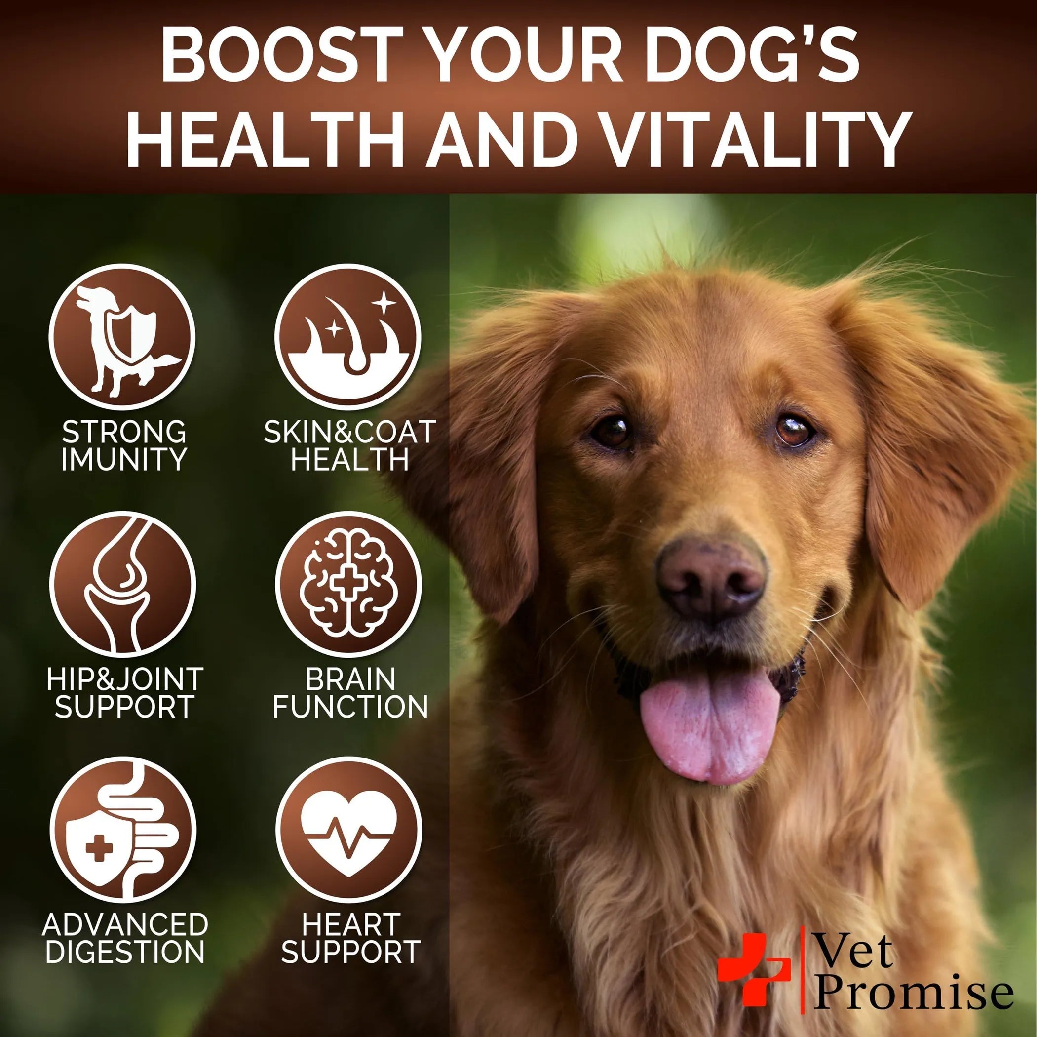 2-Pack 30-in-1 Mushroom Multivitamin Chews for Dogs