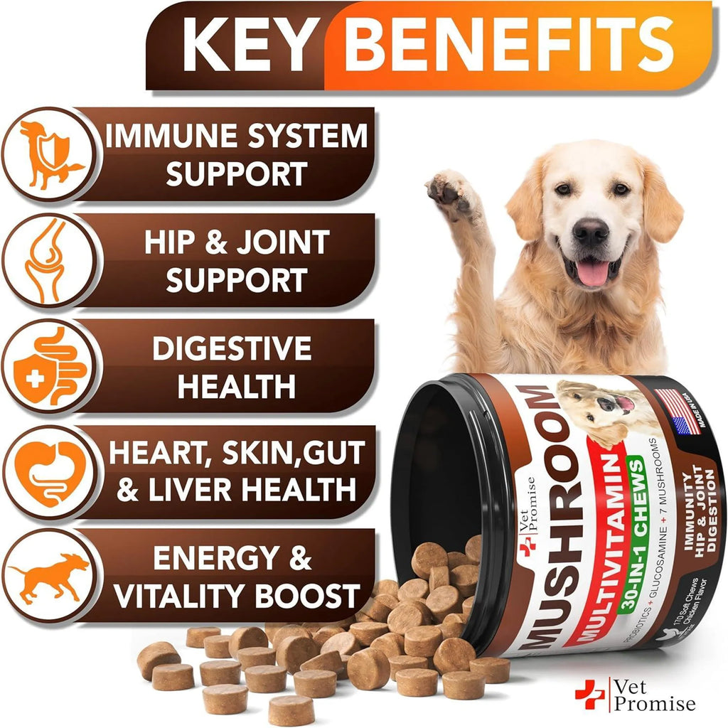 30-in-1 Dog Mushroom Multivitamin Chews