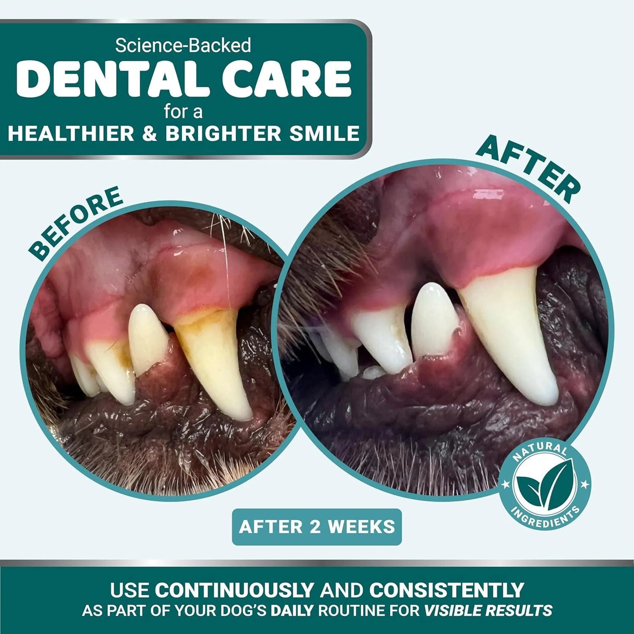 Advanced Dental Powder for Dogs – Fresh Breath & Oral Health Support