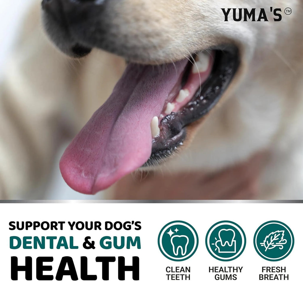 Advanced Dental Powder for Dogs – Fresh Breath & Oral Health Support
