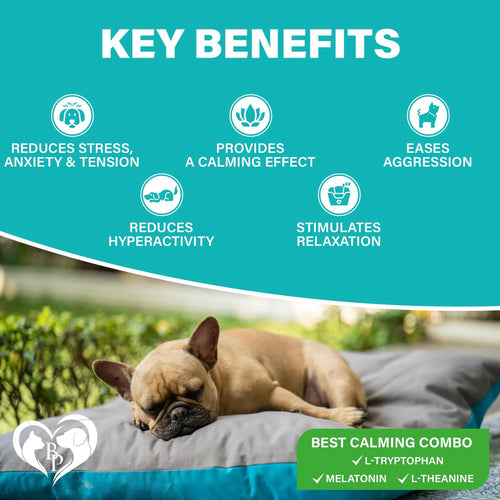 Calming Chews + Melatonin for Dogs & Puppy