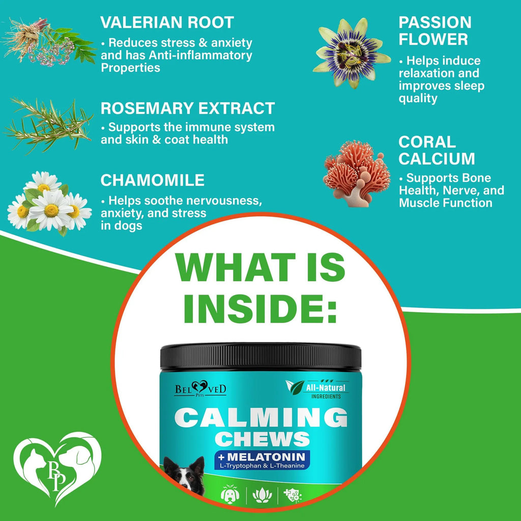 Calming Chews + Melatonin for Dogs & Puppy