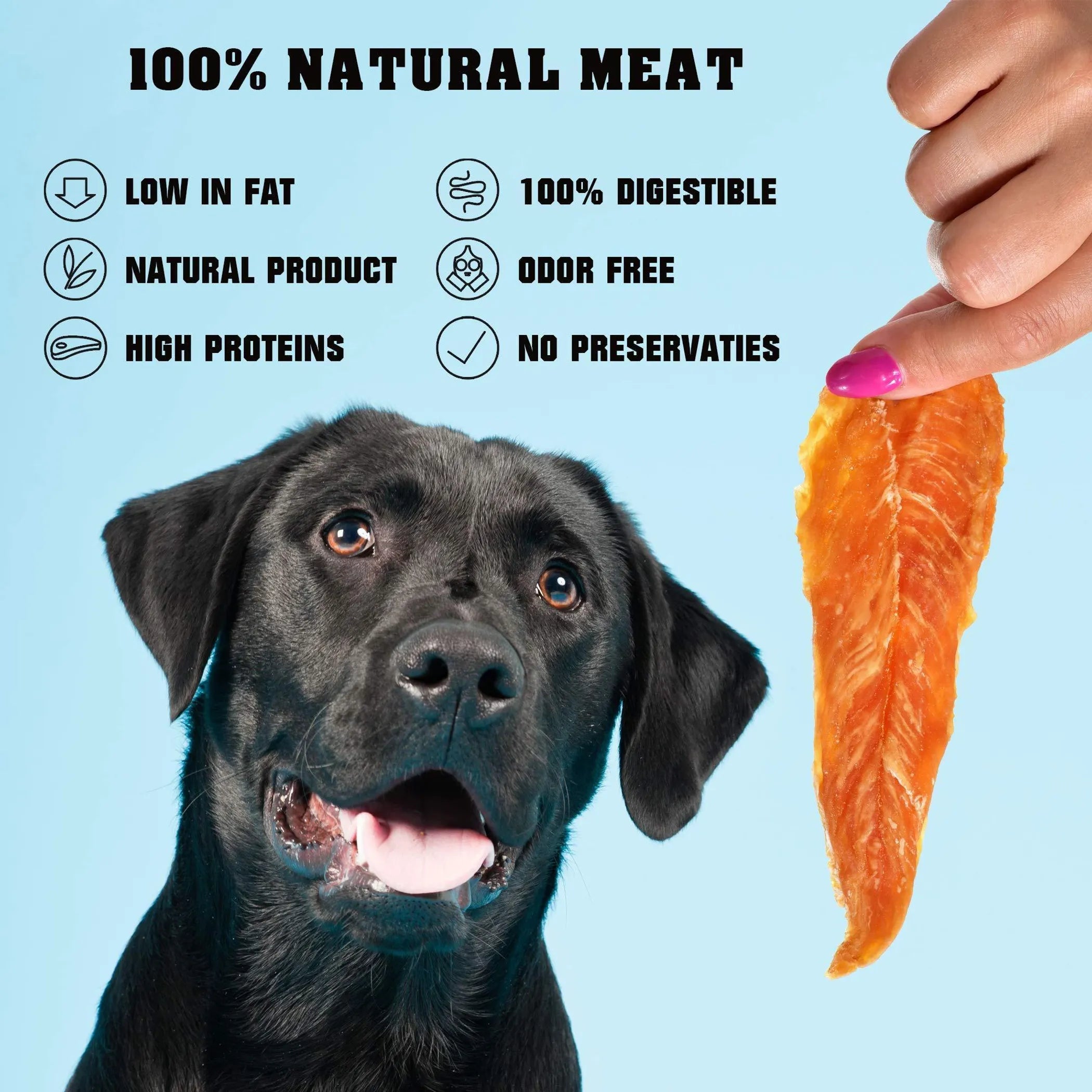 100% Chicken Jerky Treats for Dogs - Slices